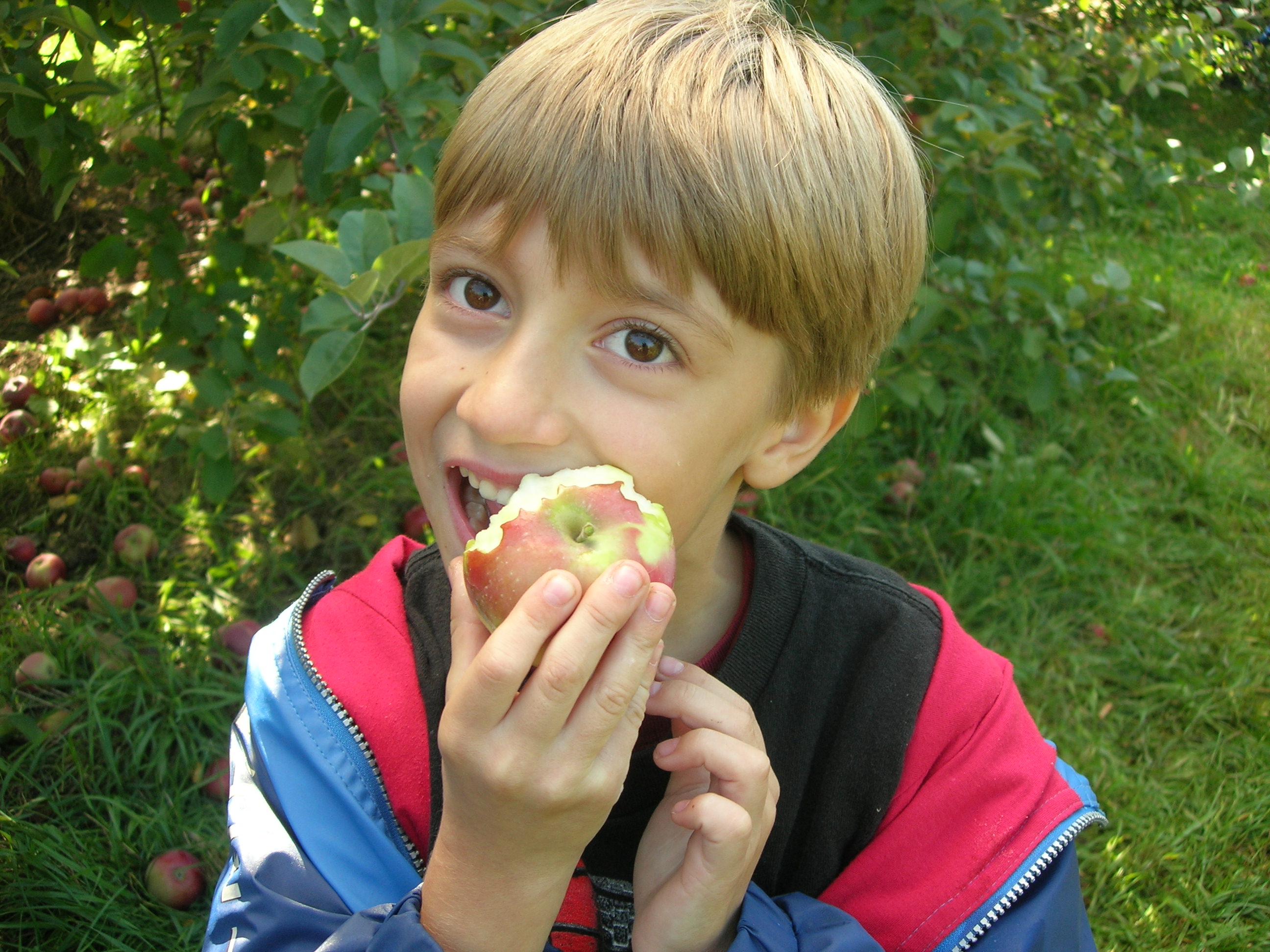 La magie de la pomme!