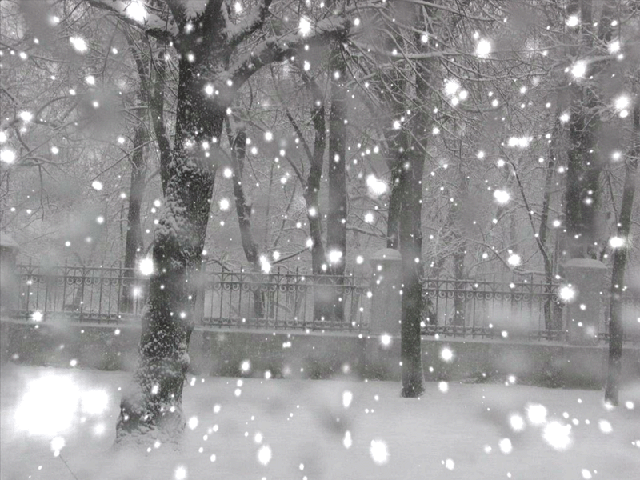 En cas de tempête de neige